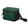 Bolsa-Termica-10-Litros-VERDE-14883-1661196484