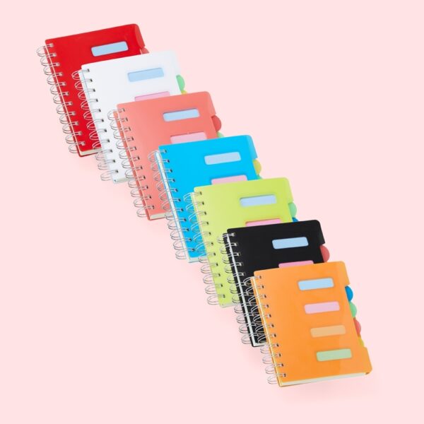 Caderno-Pequeno-com-Divisorias-15911d1-1678301279