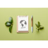 Eco-friendly,Empty,Notebook,With,Pen,And,Green,Leaf,On,Colored